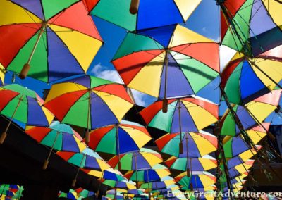 Recife Brazil, Olinda Brazil, World Heritage Site, Brazil Carnival, Frevo Umbrella
