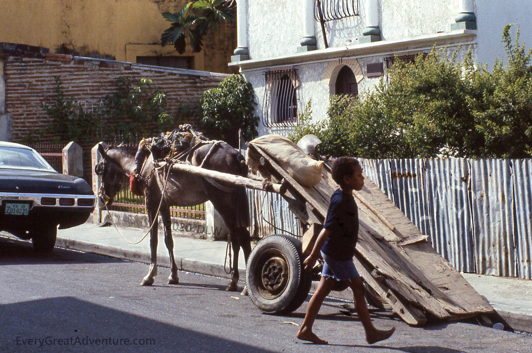 1981 Puerto Plata, Dominican Republic, Street scene, donkey tied to a makeshift cart, with a young boy walking across the street