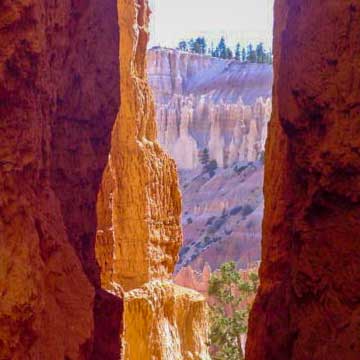 picture showing Hoodoos in the distance of Bryce Canyon National Park