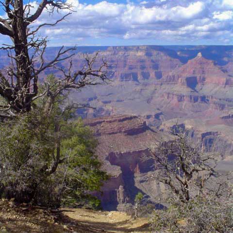 Picture showing size of Grand Canyon