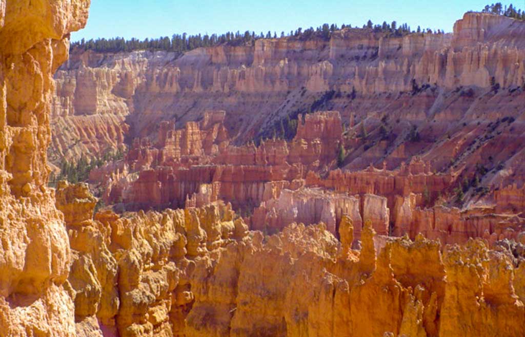 Photo of Bryce Canyon with multiple colors showing on the hoodoos of the canyon