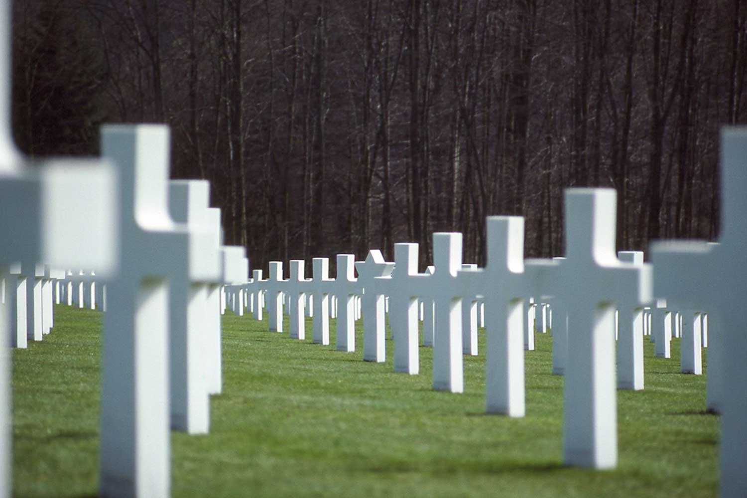 row upon row of grave markers some crosses others with the Star of David