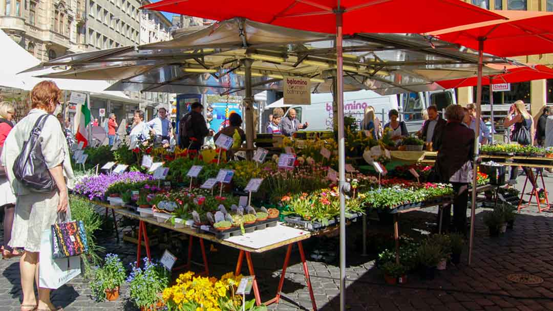 photo of people at a flower market in the city square. Red umbrellas cover the plants. there are a wide variety and various colors of plants shown