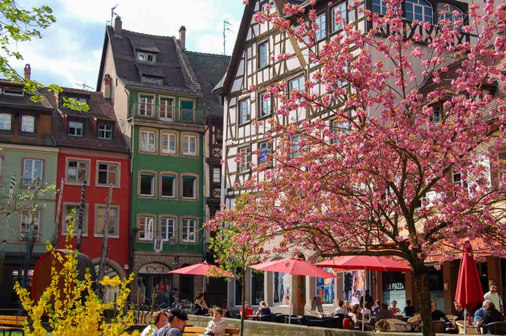 white stucco building with wooden timbers embedded in front is a tree with pink blooms as well as a bush with yellow blooms tables are set up under red umbrellas in front of building