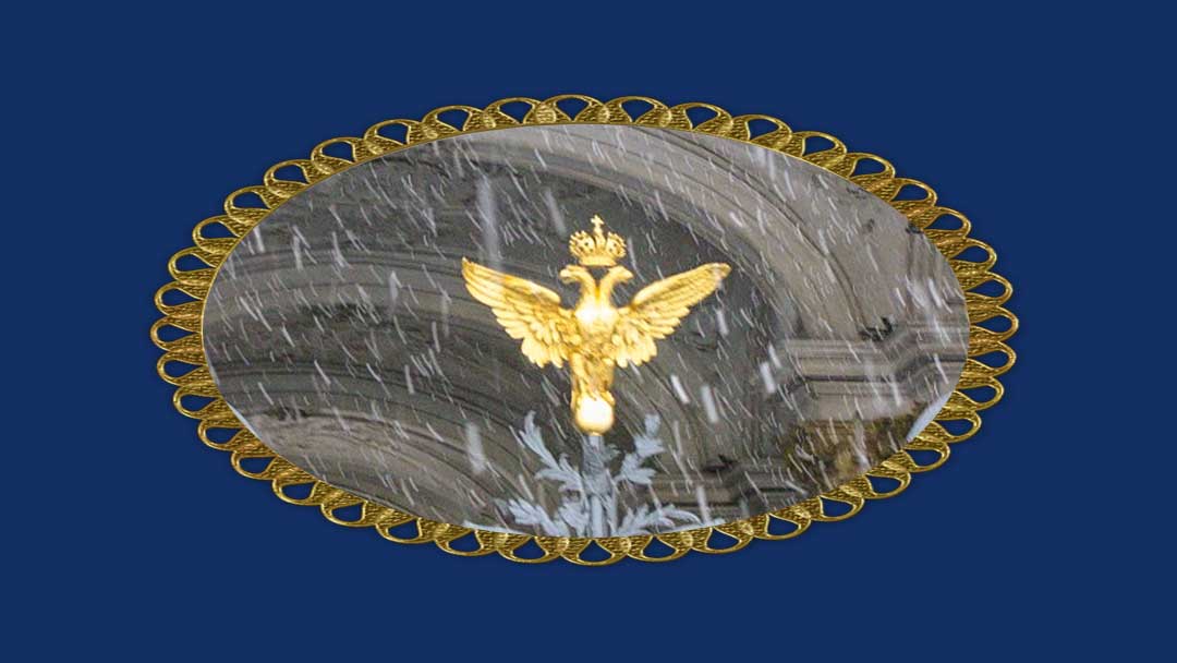 photo of a gold double eagle with snow falling