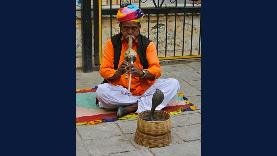 Man sitting cross legged on the tiled ground playing a pipe with a small basket in front of him with a king cobra rising out of it.