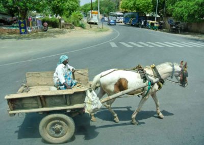 White horse with brown spots pulling a cart with a man in it, on an asphalt road.